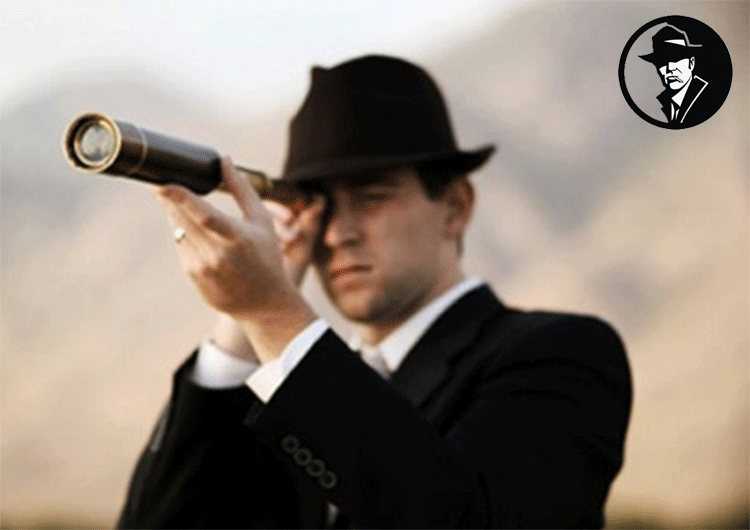 vai trò của thám tử tư