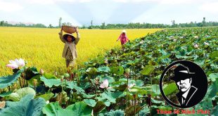 dịch vụ thám tử tư tại Đồng Tháp