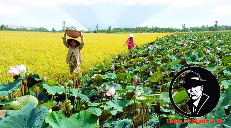 dịch vụ thám tử tư tại Đồng Tháp