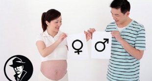 con trai hay con gái