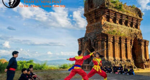 thám tử bình định